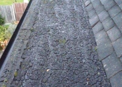 Moss build-up on roof tiles