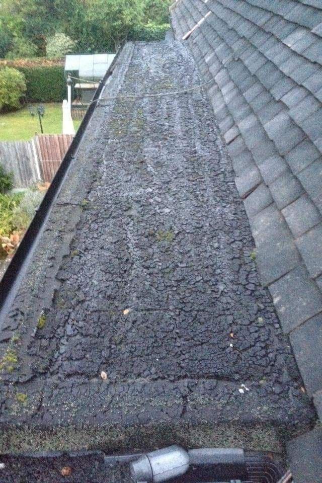 Moss build-up on roof tiles