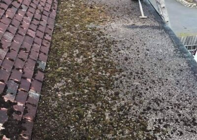 Roof tiles with lichen and moss